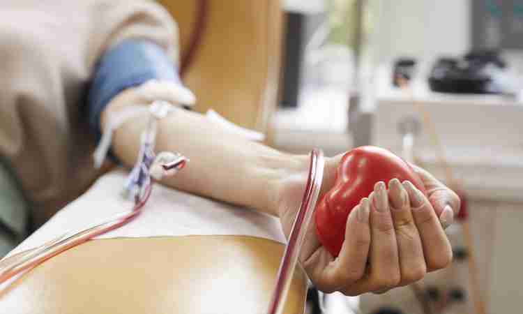 Hemoce registra recorde histórico de doações de sangue no Ceará em 2025